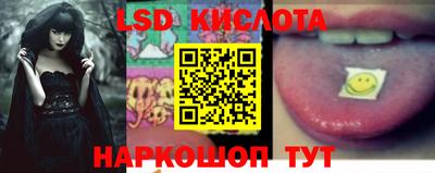 spice Заволжье