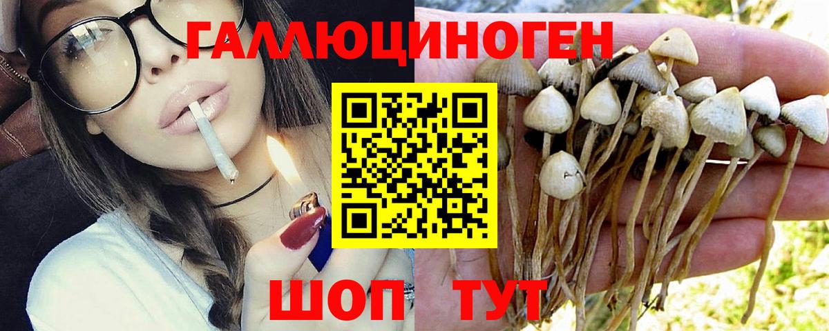 Галлюциногенные грибы Psilocybine cubensis  цена наркотик  Миасс  Вход с VPN  Галлюциногенные грибы Magic Shrooms 